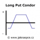 Long Put Condor