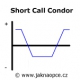 Short Call Condor