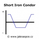 Short Iron Condor